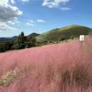 소이하우스 | 5일 - 2일차 (협재신국수, 협재해변, 새별오름, 새빌카페, 허니문하우스, 착한갈치, 올레시장, 소이연가)