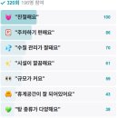 보보스스파랜드휘트니스 이미지