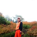 월드 C.C 이미지