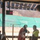 다이나믹뮤직복싱 네이버블로그