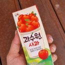 제주 판포포구 스노쿨링 내돈내산 장비대여 강습 샤워 igh 오션레포츠