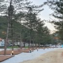 돌고래오토캠핑장2 이미지