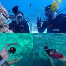 동강카써비스 | 물친자 물개 모여라! 해양 액티비티 전문 해외휴양지 추천 TOP5