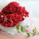 리트님 축하드려요 이미지