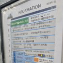 퍼니웨일