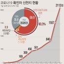 코로나19 현황 대구 신천지 교회 중국 우한 포교활동 코로나 집단감염, 대구vs 후베이성 코로나 확진자 비교-신천지 심각하다 이미지
