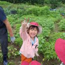 맑은샘농장 이미지