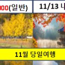 (11월 당일/숙박 여행) 서해 금빛열차 추가+황매산 3만 인하 이미지