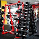 짐에스(GYM-S)