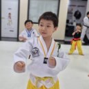 MTA코리아태권도 이미지