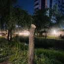 풍년농자재백화점 이미지