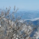 삼승물산 이미지