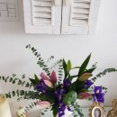 소피아방 이미지