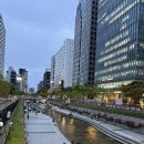 코리아나미술관 | 광화문 시티뷰 맛집 코리아나 호텔 숙박 후기! 🏨 _ Delux Family Room