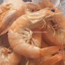 현진민박 이미지