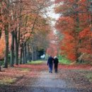 맥시칸양념치킨 이미지