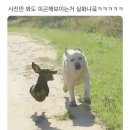 [52] - 8월시작