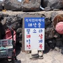 우도꼭지엄마해녀해산물