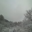 용수깨비농장 이미지