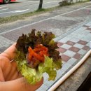 상록회관연탄구이화성남양점 이미지