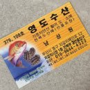 부산 자갈치시장 회 맛집 추천! 영도횟집에서 도다리&amp;밀치 한판