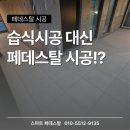 신사동-20 | [서울 신사동] 발코니 페데스탈 시공후기 | 프리모 20T 타일