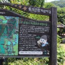 풍기장생이