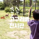 충주체험, 활 만들기 / 충주고구려비전시관 강추