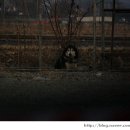 우리도리