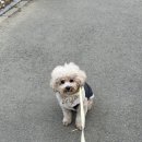 육칠이천안 이미지