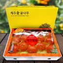 다온푸드 이미지