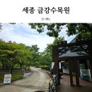 또복이도시락 | 세종 아이와 가볼만한 곳 금강수목원 산림박물관