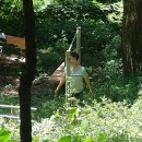 규하나비