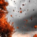 은혜매점 이미지