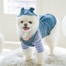 펫츠미 쇼핑하우