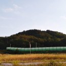 나비채생태공원 이미지