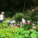 광남유치원 이미지