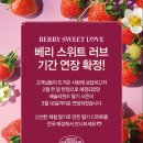 강동-천호-1216 | 2025 애슐리퀸즈 딸기축제 기간 메뉴 가격 주말 디저트 딸기뷔페