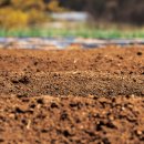 ㈜지오팜 이미지