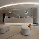 24시 위드힐동물메디컬센터 | 별내 시바견 넥스가드 24시 동물병원 위드힐메디컬센터