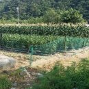 오색공인중개사사무소 이미지