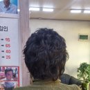 태경가발 이미지