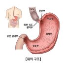 위(胃)장을 사랑하는 10가지 방법 이미지