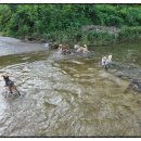 일영펜션 이미지