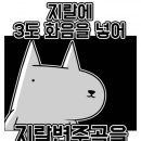 자일랜드 이미지