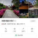 회룡대 별장펜션 | 겨울 여행, 1월 축제 청양 &#39;얼음분수축제&#39;