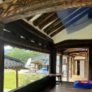 부여애견 이미지