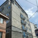 베아트리스 이미지