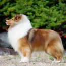 레디에이트(RADIATE) 이미지