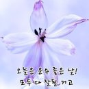 8월23일(금)~서울방[사랑의 쉼터) 이미지